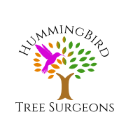 hummingbird logo.png