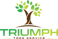 cropped-triumph-Tree2.png