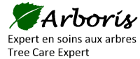 BEST LOGO 1_PNG.png