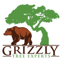 Grizzly logo 800 x 800.jpg