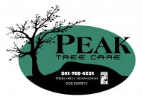 AG Teal Logo.jpg