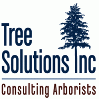 tsi_color_logo_cropped.gif