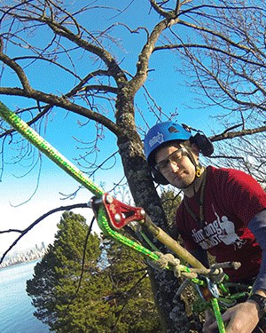 SRT - What is all the fuss about? - Climbing Arborist