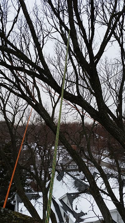 国内発送】 送料無料Pelican Arborist-16 Strand 12.7 mm inch Arborist Rope 7000  lbs Brea
