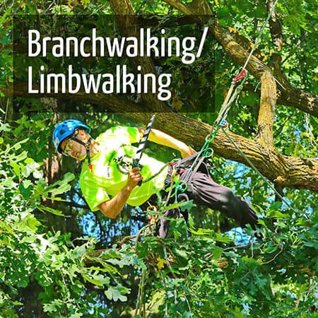 Branchwalking