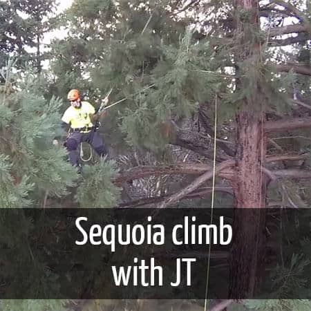 Sequoia climb with J.T