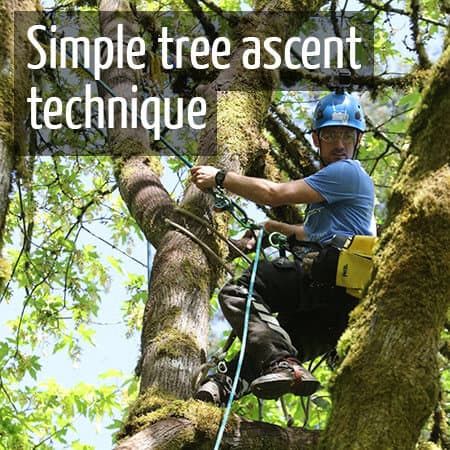 Simple method of ascending a tree