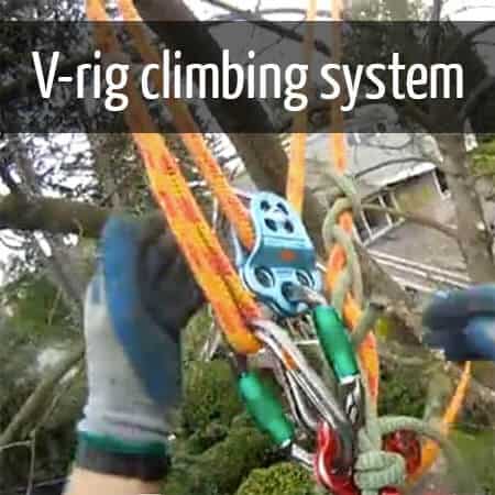Pruning with the V-rig system