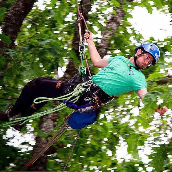 Arborist swinging through canopy ClimbingArborist.com