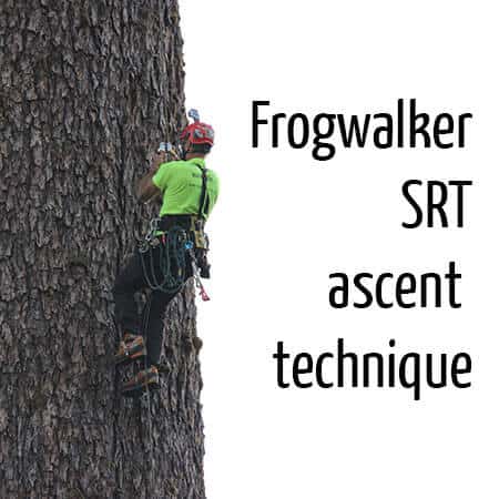 Frog walker system (SRT)