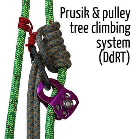 Prusik & pulley tree climbing system