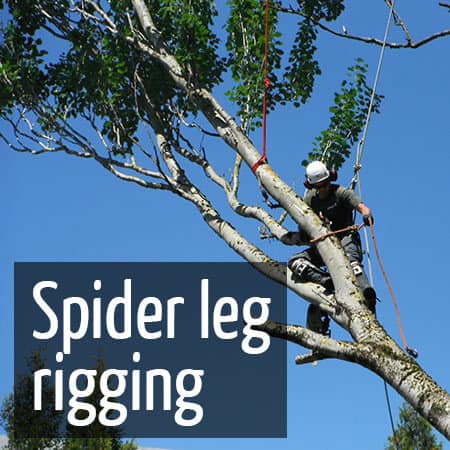 Rigging using a spider leg