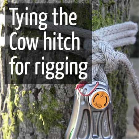 Cow hitch
