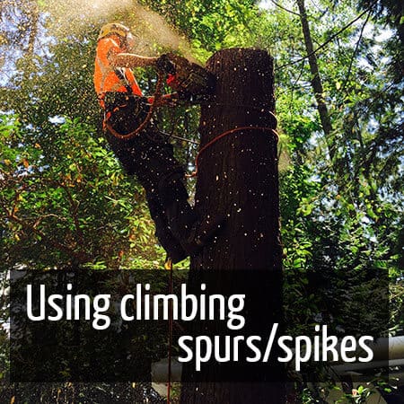 Using climbing spurs/spikes