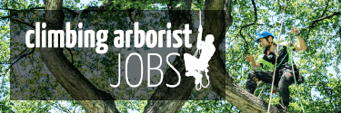 Climbing Arborist Jobs