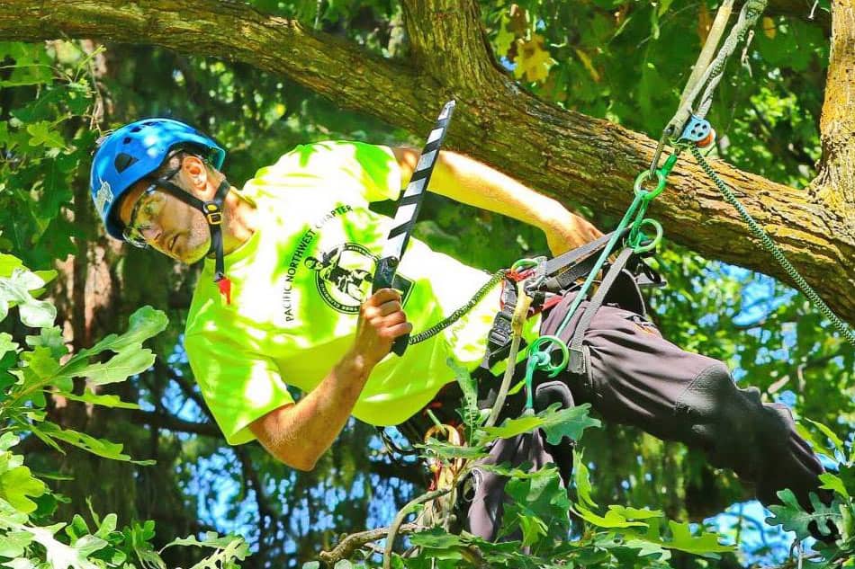 Dan Holliday climbing at the Portland tree climbing competition : ClimbingArborist.com