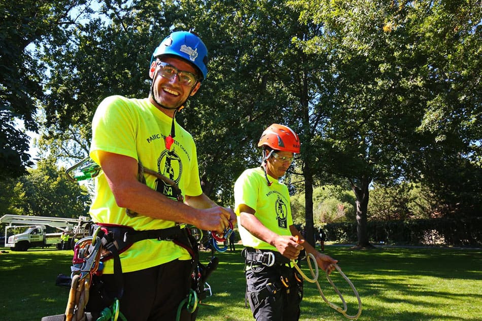 Getting ready to climb trees