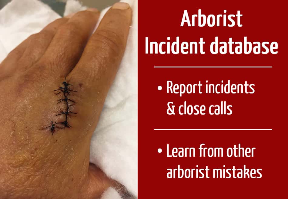 Arborist Incident Reports