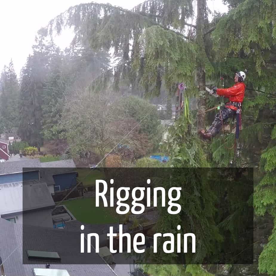 Rigging in the rain : ClimbingArborist.com