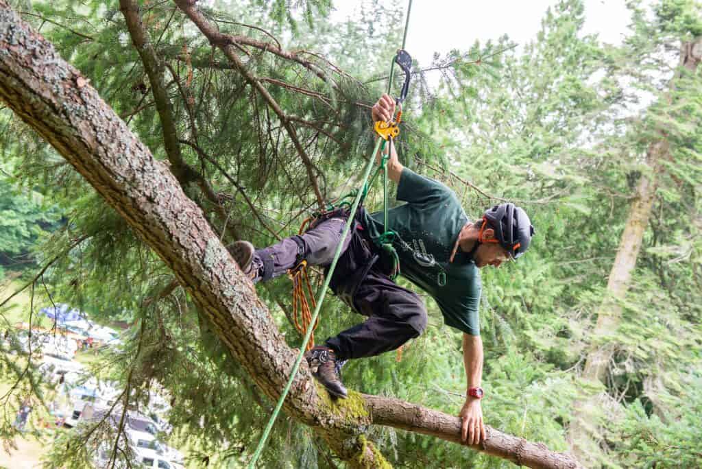 Dan Holliday tree comp - ClimbingArborist.com