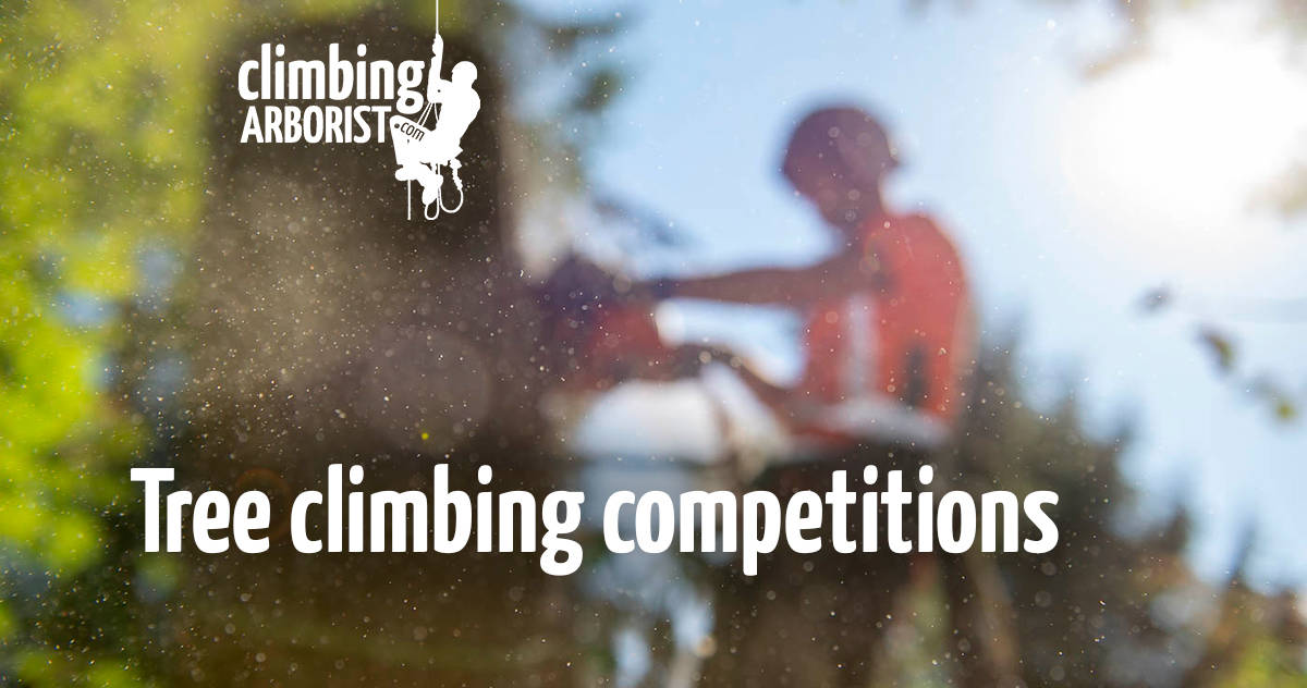 Tree climbing competitions