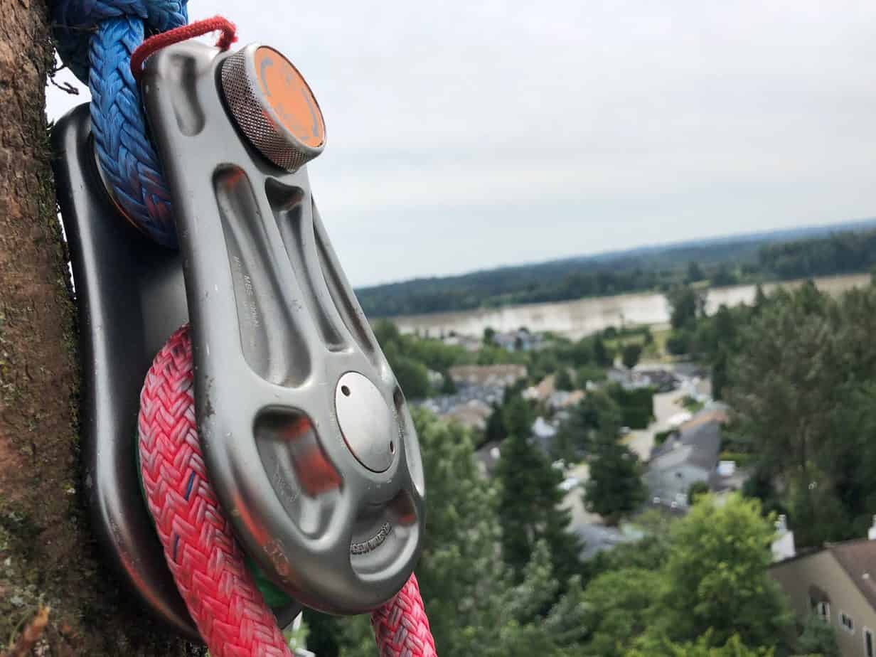 Arborist rigging techniques ClimbingArborist.com