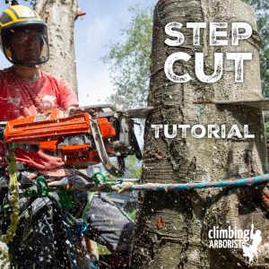 Step Cut Tutorial ClimbingArborist.com