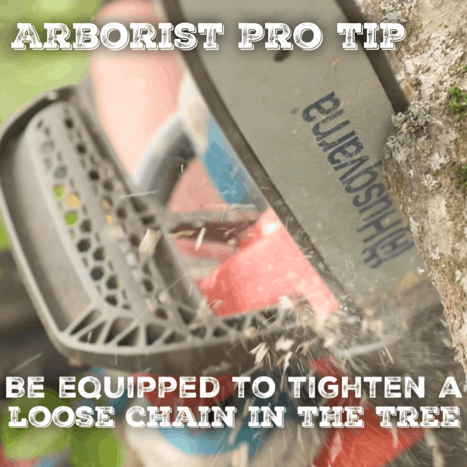Climbing Arborist Pro Tip
