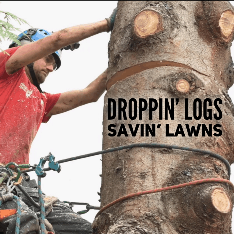 Arborist Dropping logs - ClimbingArborist.com