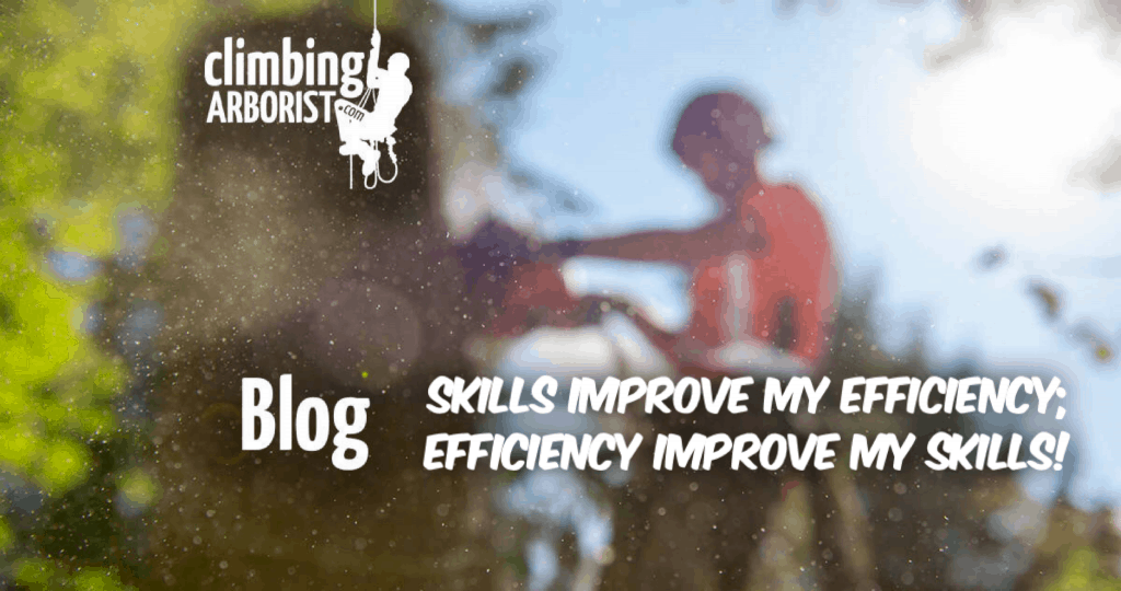 Blog - Skills improve my efficiency; efficiency improve my skills! ClimbingArborist.com