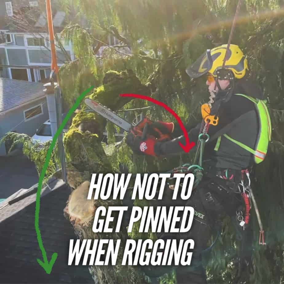 How not to get pinned by a branch when rigging