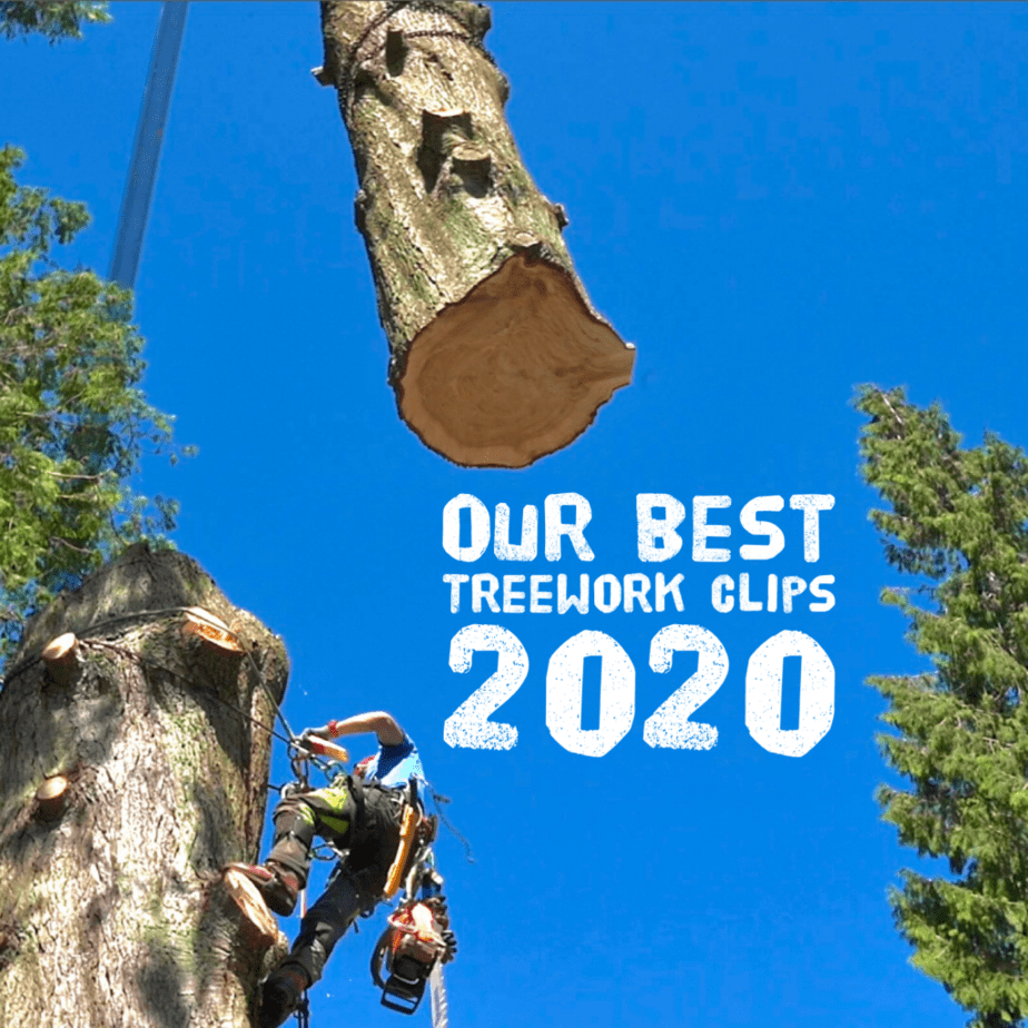 Best TreeWork video 2020