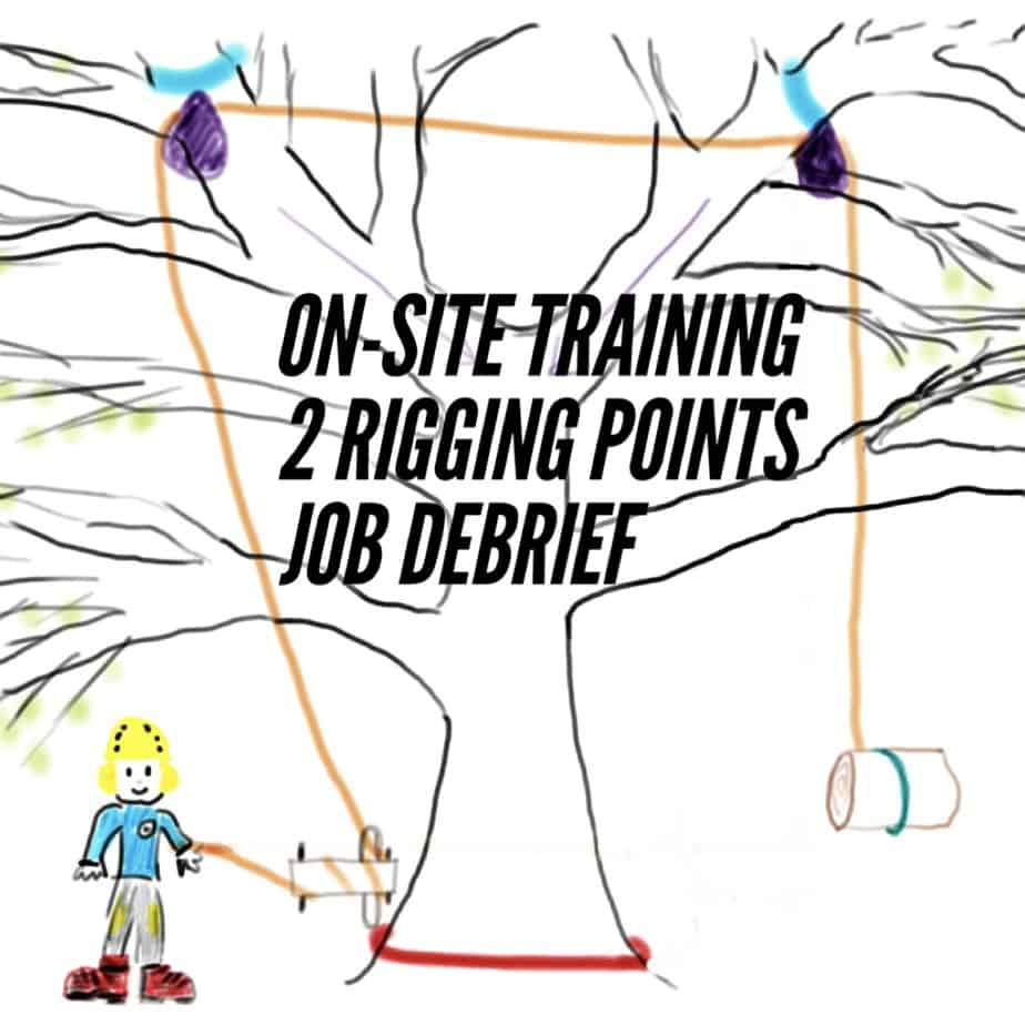 2 rigging points ClimbingArborist.com