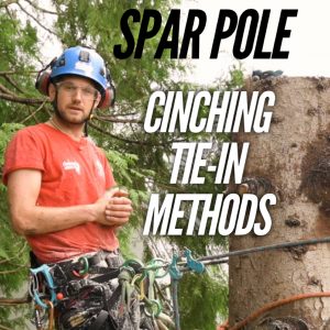 Spar pole tie-in ClimbingArborist.com