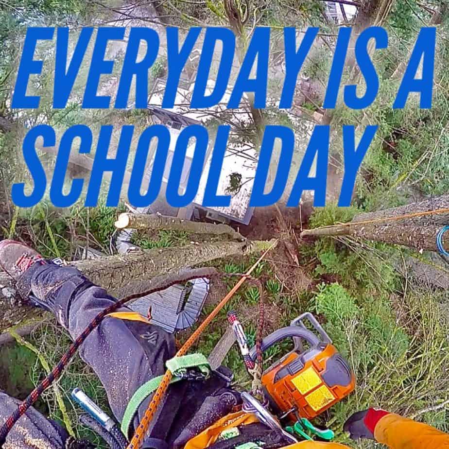 Everyday is a schoolday ClimbingArborist.com