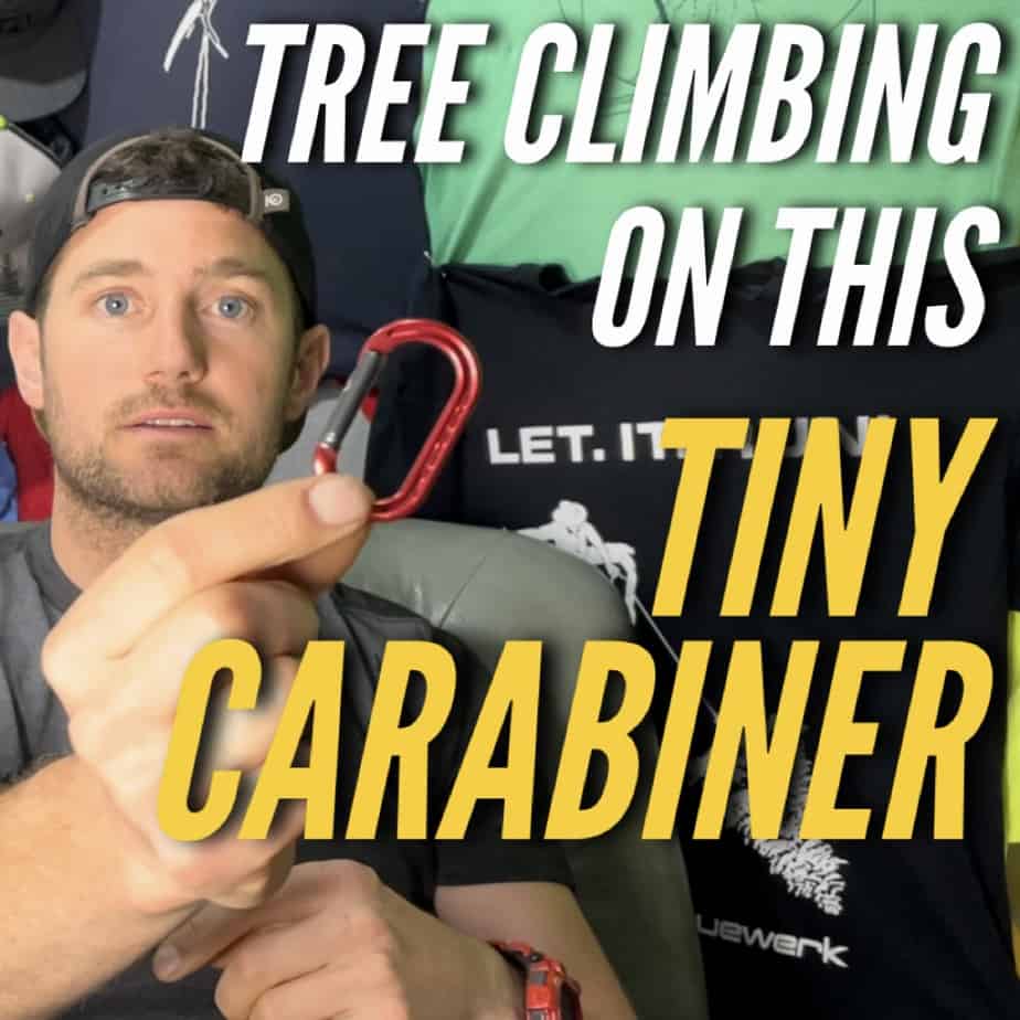 Non life support carabiner ClimbingArborist.com