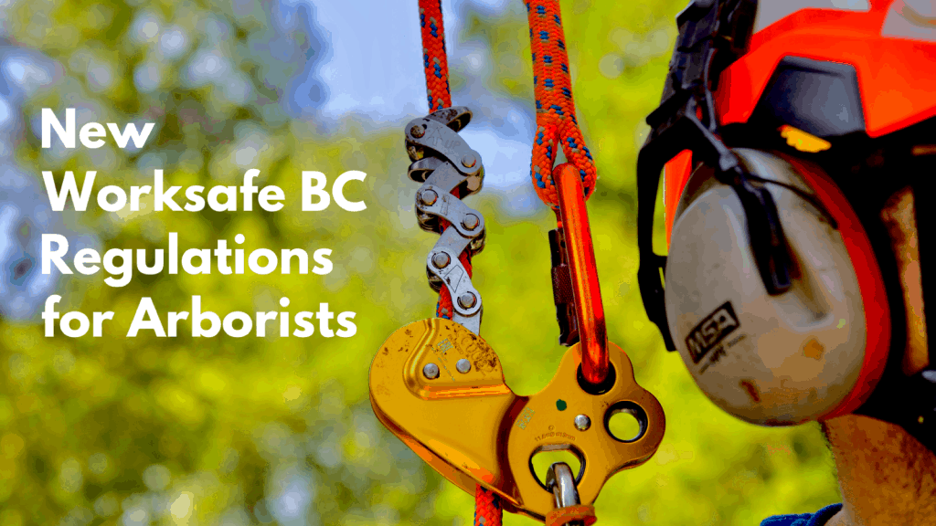 New WBC arborist regulations - ClimbingArborist.com