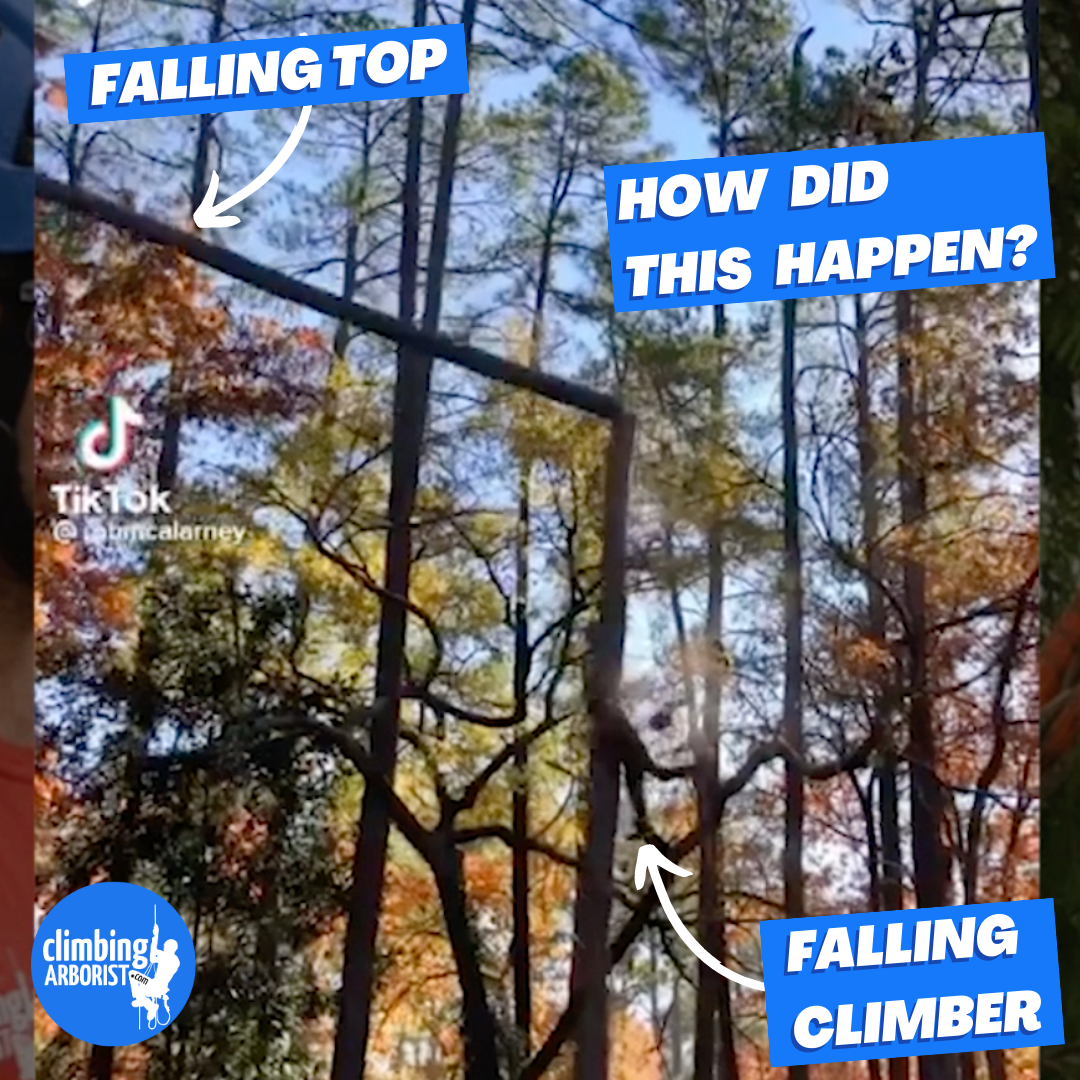 Tree climber falls - ClimbingArborist.com