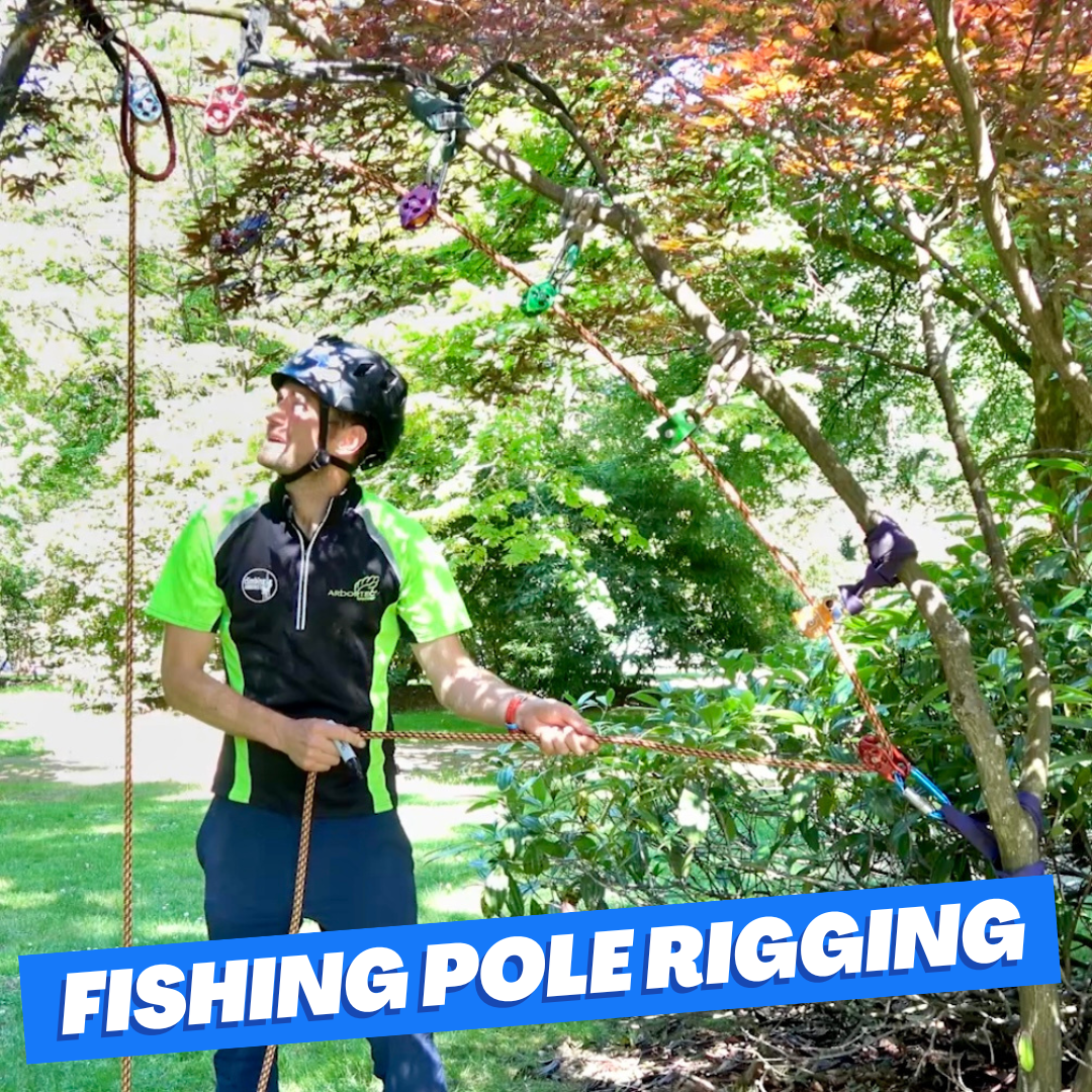 Fishing pole rigging - ClimbingArborist.com