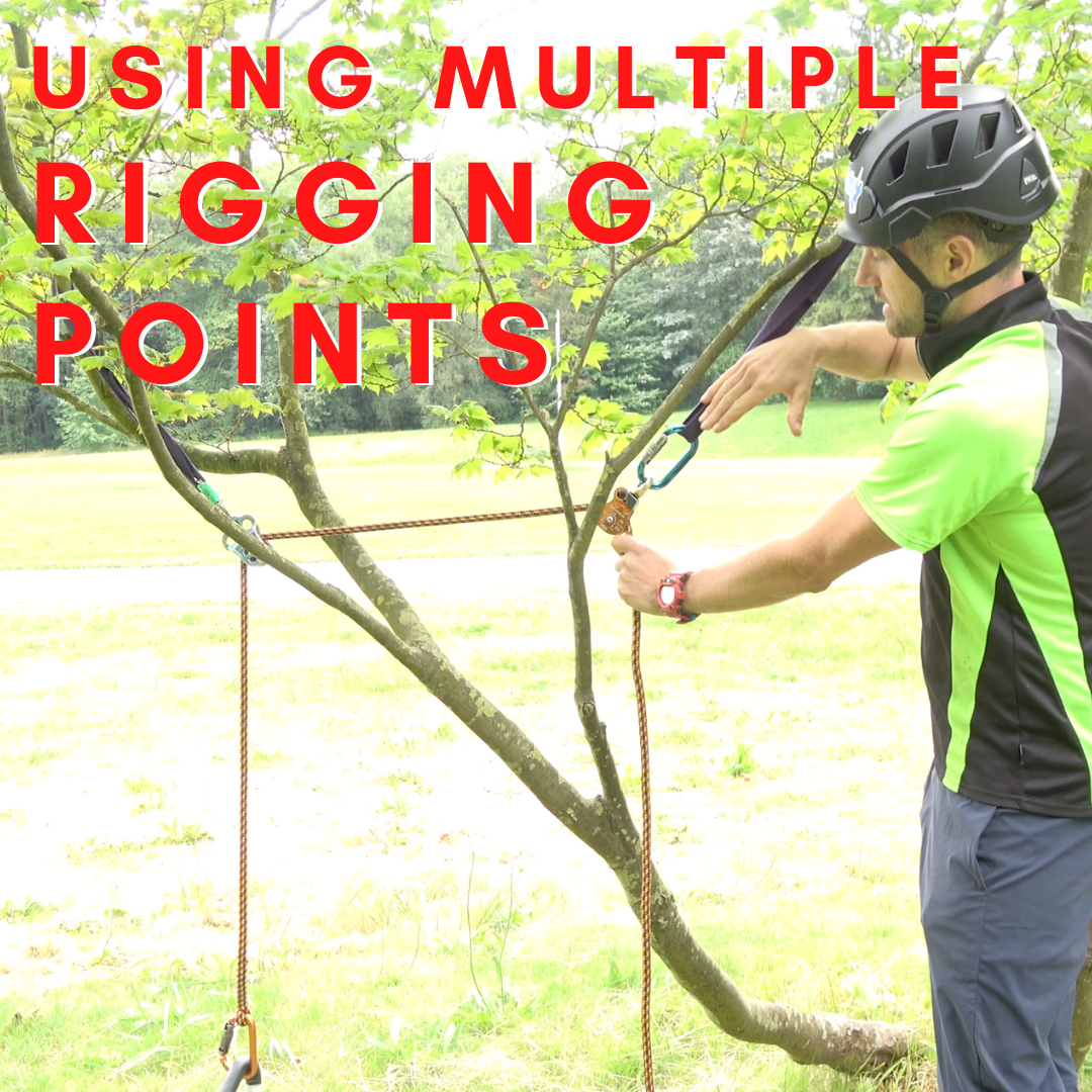 USING MULTIPLE RIGGING POINTS ClimbingArborist.com