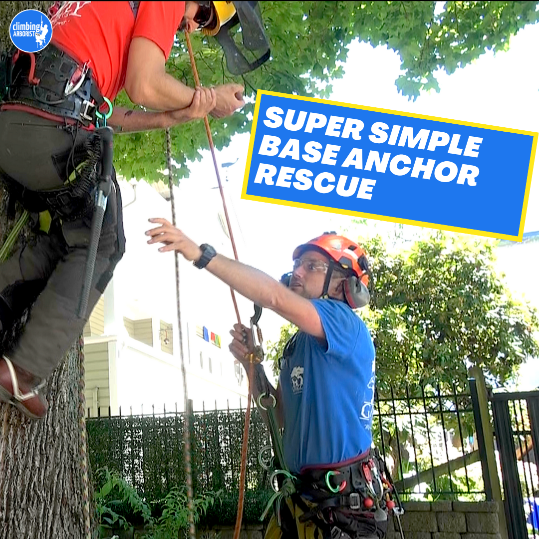 Lowerable Base anchor ClimbingArborist.com
