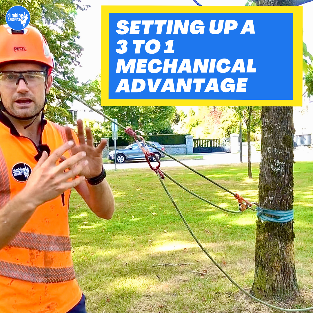 3 to 1 mechanical advantage - ClimbingArborist.com