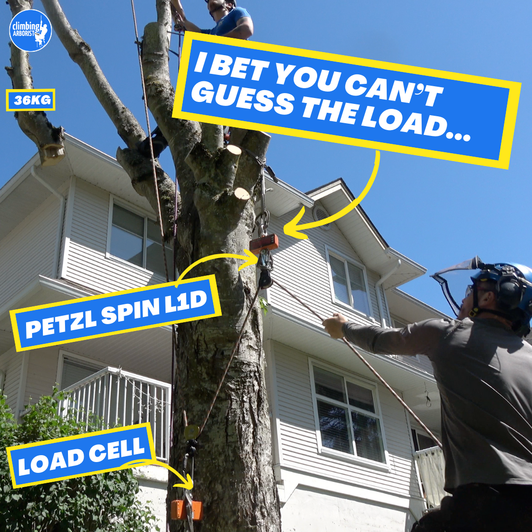 Load testing pulleys and friction, SURPRISING RESULTS!! ClimbingArborist.com