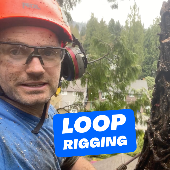 Loop Rigging - ClimbingArborist.com